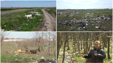camp gunoaie dolj